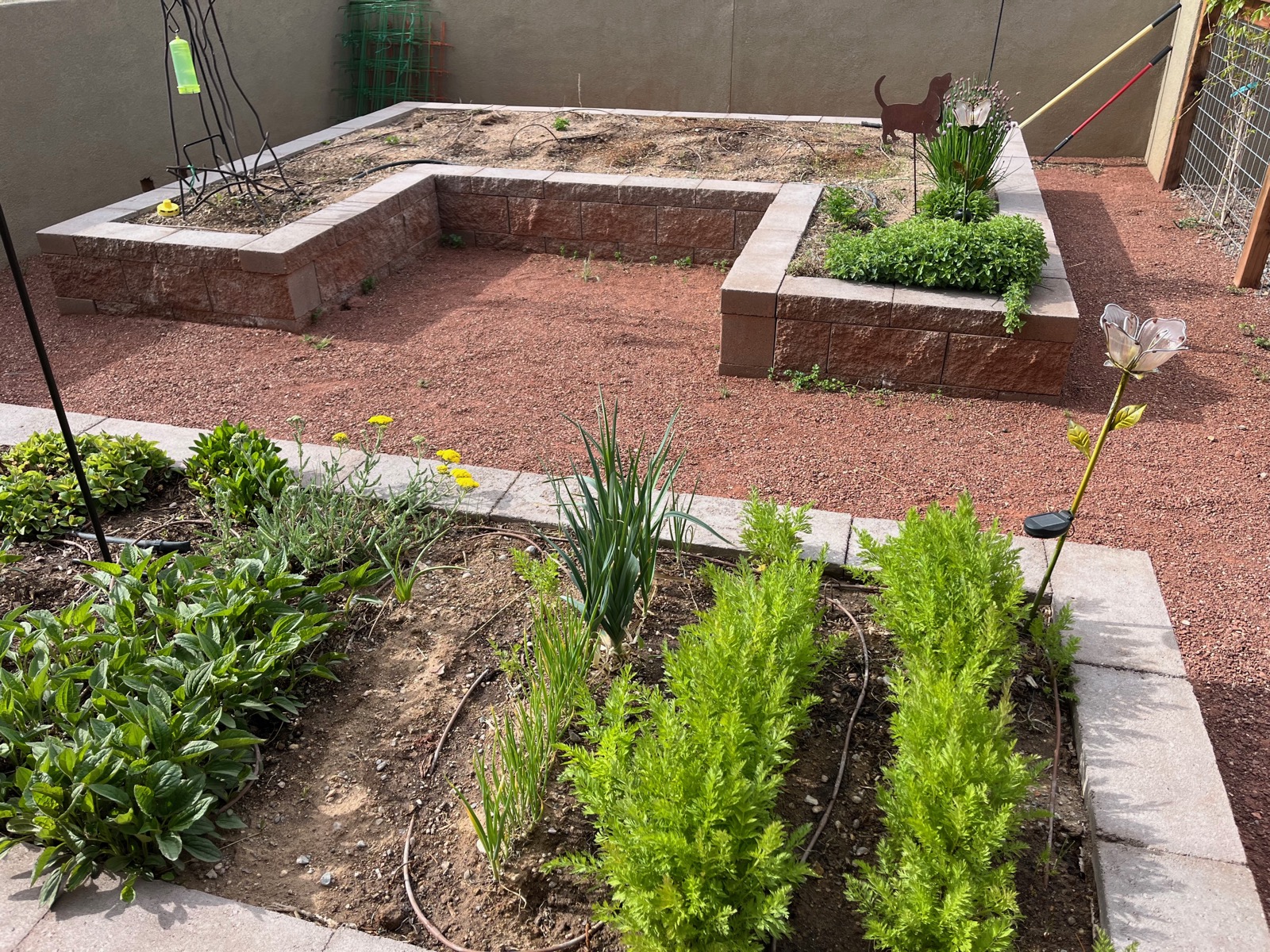Retaining Wall New Mexico